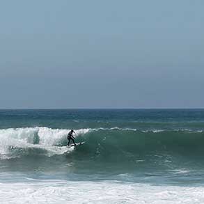 A surfer catches a wave while a seagull uses the wave's updraft